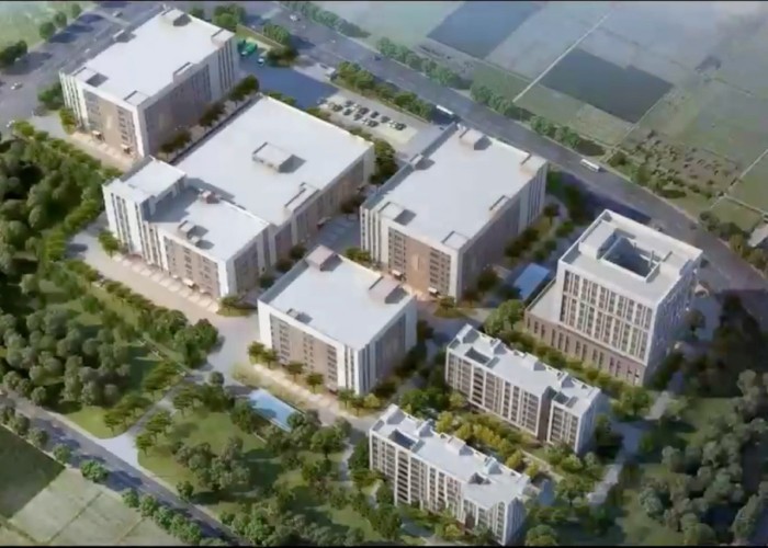 Qingdao Meilianjia International Trade Co., Ltd línea de producción de fábrica