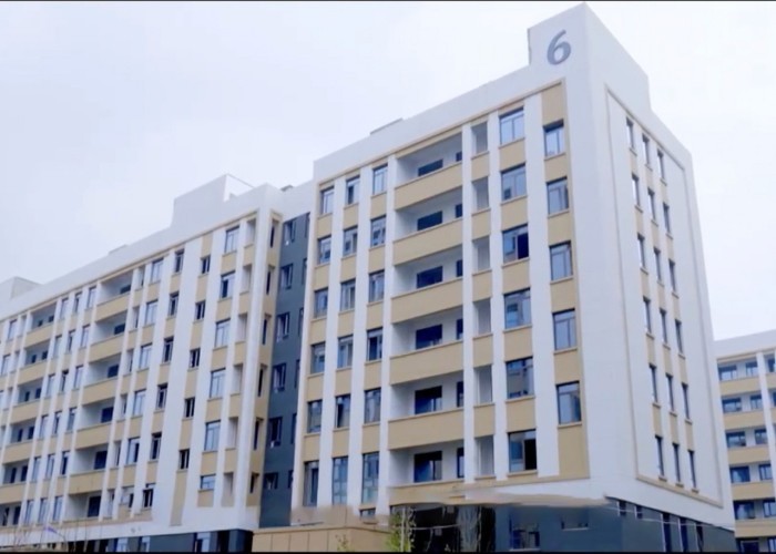 Qingdao Meilianjia International Trade Co., Ltd línea de producción de fábrica