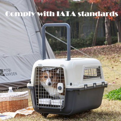 Caja de transporte de mascotas para viajes sostenibles