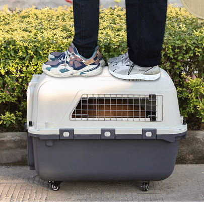 Caja de transporte de mascotas para viajes sostenibles