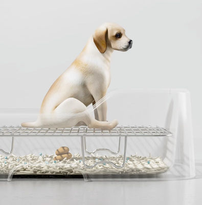 Comodidad interior de la bandeja de la nevera para perros sin filtración de la pared de protección de derrame y diseño fácil de limpiar