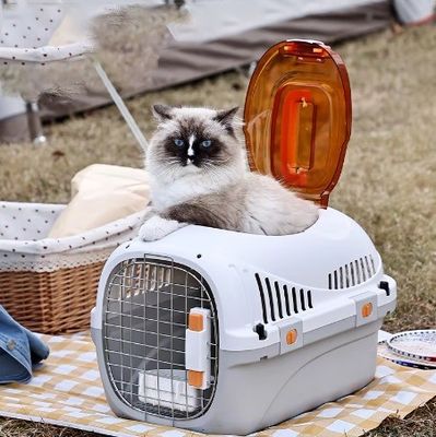 Accesorios para viajes en automóvil Jaulas de transporte de mascotas aprobadas para cachorros y gatos pequeños o medianos