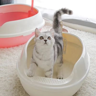 Alto lado PP Plastic Cat Toilet Gran caja de basura de gatos abierta para interiores