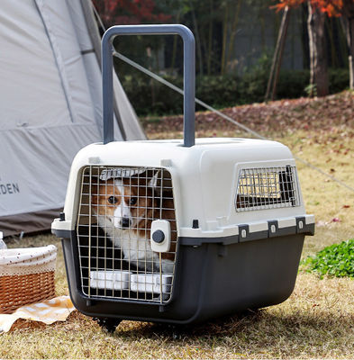 Caja de transporte aéreo de mascotas para perros y gatos pequeños Transportador de viaje de superficie dura sostenible