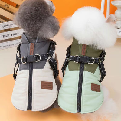 Servicio de personalización para perros para el cálido y espeso otoño e invierno.