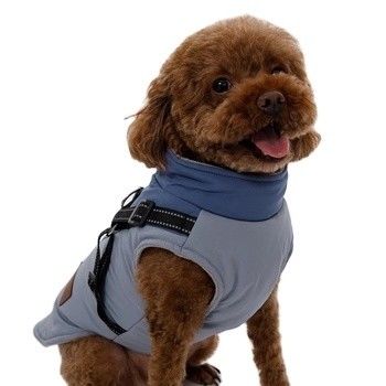 Servicio de personalización para perros para el cálido y espeso otoño e invierno.