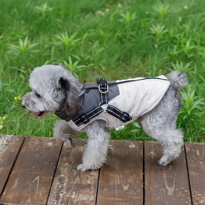 Servicio de personalización para perros para el cálido y espeso otoño e invierno.