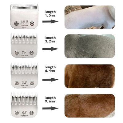 Acero de titanio 5a Barbeador de pelo para mascotas para el cuidado profesional de diversos animales