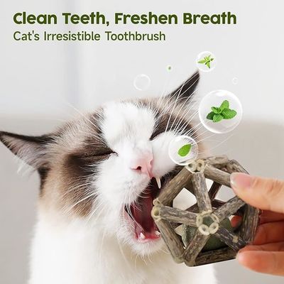 Juguete de gato Silvervine para jugar y limpiar los dientes hecho de Polygonum Arboreum natural