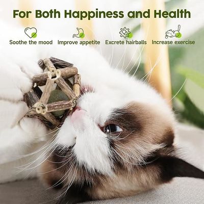 Juguete de gato Silvervine para jugar y limpiar los dientes hecho de Polygonum Arboreum natural