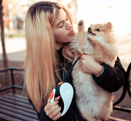 Leña automática de perros con longitud ajustable de nylon