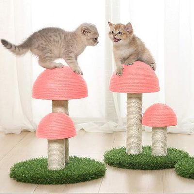 Post de escalada para gatitos en interiores con hongo sostenible Post de rascado para gatos con juguete interactivo