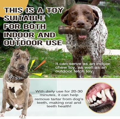Estilo de moda sostenible Perro Peinado Peinado Peinado hueso para limpiar los dientes Juguetes para masticar