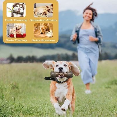 Estilo de moda sostenible Perro Peinado Peinado Peinado hueso para limpiar los dientes Juguetes para masticar
