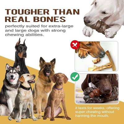 Estilo de moda sostenible Perro Peinado Peinado Peinado hueso para limpiar los dientes Juguetes para masticar