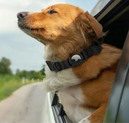 Collar reflector de nylon para perros Collar de entrenamiento GPS ajustable con porta Airtag