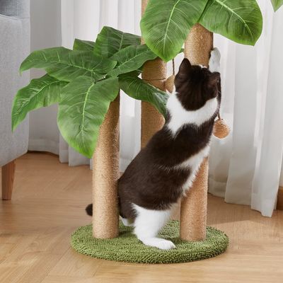 Cuadro de escalada de palma de coco de gato con palo de rascado natural de sisal y bolas colgantes