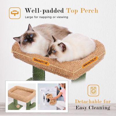 Arbol de gato moderno de madera Sisal Scratcher Cactus Cat con hamaca y poste de rascado