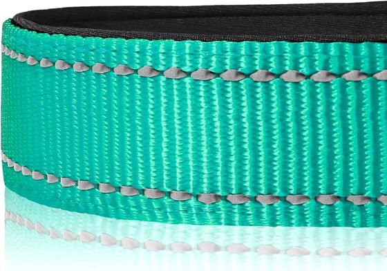 Collar de perro con almohadilla de neoprene suave con reflector C-01 a prueba de agua