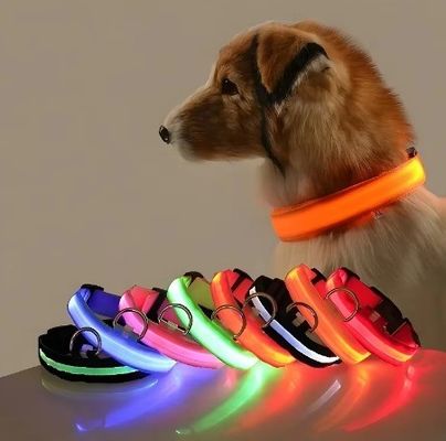 Collar de perro ajustable, resistente al agua, con luz intermitente, para pasear por la noche