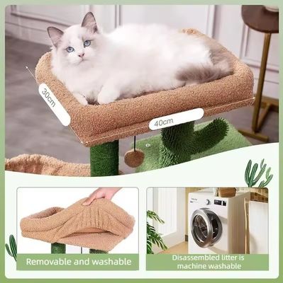 Gato rascando casa juguete pequeño gato verde árbol cactus gatito rascador para gatos de interior