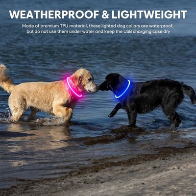 Collar de perro acogible para mascotas resistente al agua y duradero