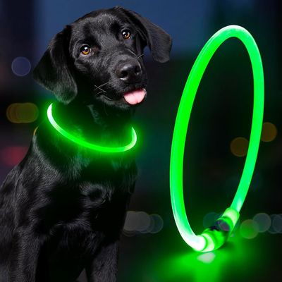 Collar de perro resistente al agua recargable USB para caminar y entrenar por la noche