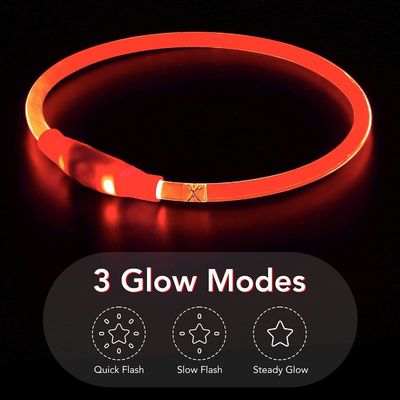 Collar de perro resistente al agua recargable USB para caminar y entrenar por la noche