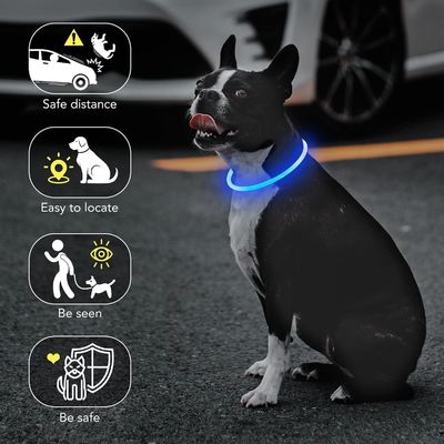 Collar de perro resistente al agua recargable USB para caminar y entrenar por la noche
