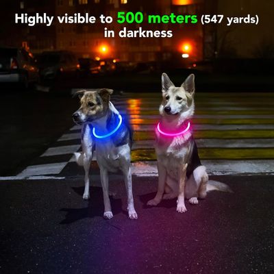 Collar de perro resistente al agua recargable USB para caminar y entrenar por la noche
