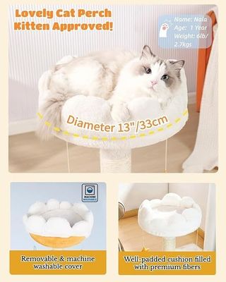 Percha de peluche Árbol de gato lindo Nube blanca Torre de gato para gatos pequeños y animales