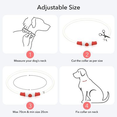 Collar de perro resistente al agua recargable USB para caminar y entrenar por la noche