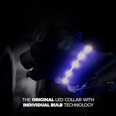 Servicio de personalización proporcionado collar de perro de silicona LED recargable USB impermeable