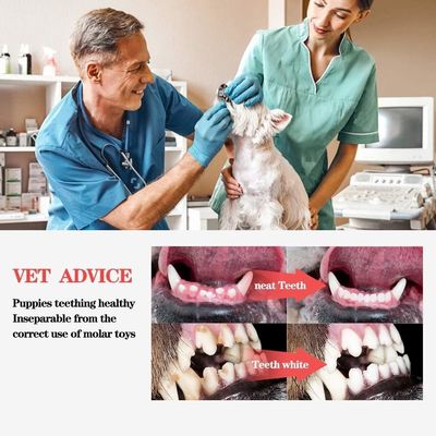 No tóxico, respetuoso con el medio ambiente Perro de mascota chillón Interactivo juguete de masticación para limpiar los dientes