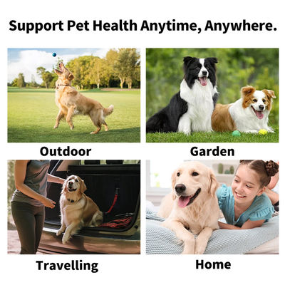 Limpieza conveniente y suave Logotipo personalizado toallitas PET con ingredientes naturales