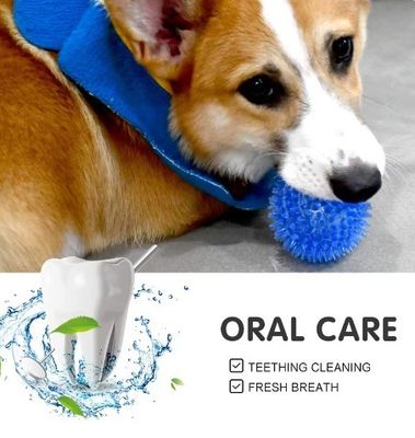 Juguetes para perros no tóxicos y respetuosos con el medio ambiente