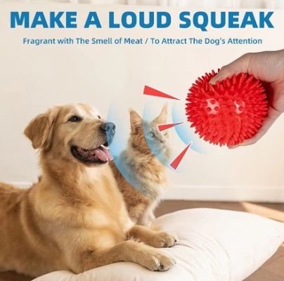 Servicio de personalización proporcionado TPR Pequeña bola espinosa Perro mastica juguete para limpieza dental
