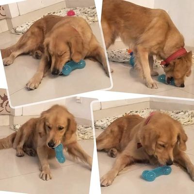 Juguete de mascota TPR personalizado en forma de hueso para masticadores agresivos No tóxico y duradero