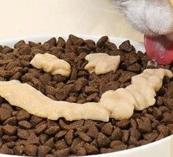 55% de contenido de carne Alimento húmedo para gatos Todas las etapas de la vida Salmón Gato