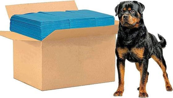 56*56cm Animales Pequeños Pad de entrenamiento para mascotas con pañal de baño desechable a prueba de fugas