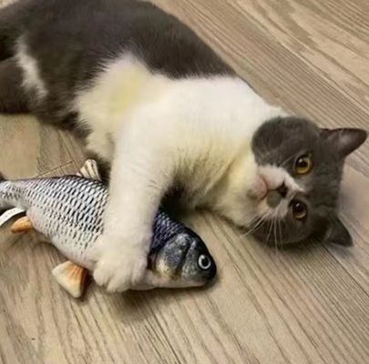 Catnip Plush Electric Moving Fish Cat Toy para un tiempo de juego sostenible e interactivo