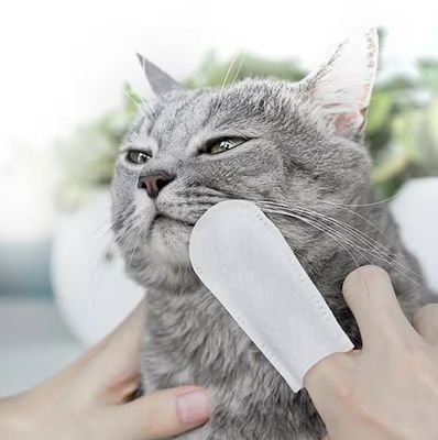 Limpiezas de dientes para gatos y perros sin enjuagar.