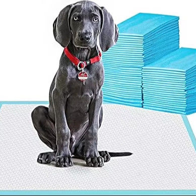 Estilo saludable Pañal impermeable para cachorros para animales pequeños Entrenamiento de almohadilla desechable