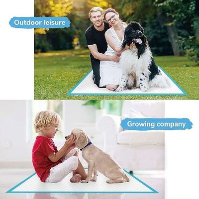 Accesorios para cachorros impermeables desechables Seca rápida Absorción de orina 56*56cm