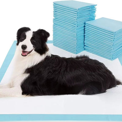 100 envases de almohadillas desechables para mascotas respiratorias con absorbente y a prueba de fugas