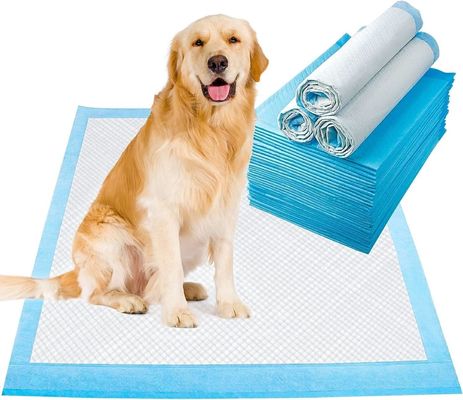 Seca rápida y desechable para entrenamiento de perros, orina debajo de una almohadilla con material sostenible