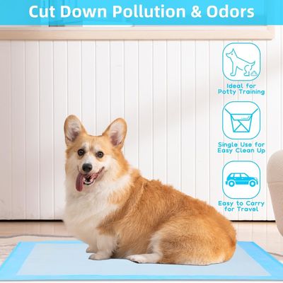 Seca rápida y desechable para entrenamiento de perros, orina debajo de una almohadilla con material sostenible
