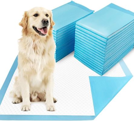Entrenamiento de orina para cachorros Super absorbentes de entrenamiento desechables para perros para entrenamiento de vaginas