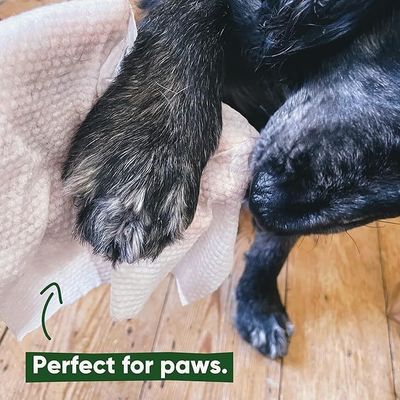 150*200mm toallitas limpiadoras ecológicas para mascotas para perros y gatos toallitas húmedas biodegradables personalizadas