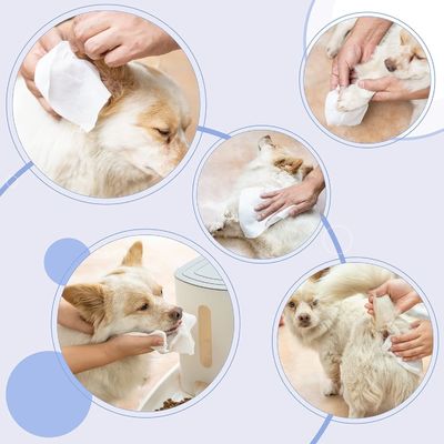 150*200mm toallitas limpiadoras ecológicas para mascotas para perros y gatos toallitas húmedas biodegradables personalizadas